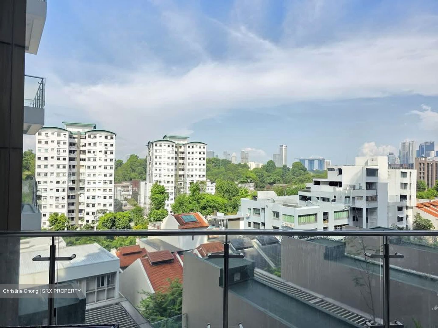 RESIDENCES AT EMERALD HILL (D9), Apartment #579304701